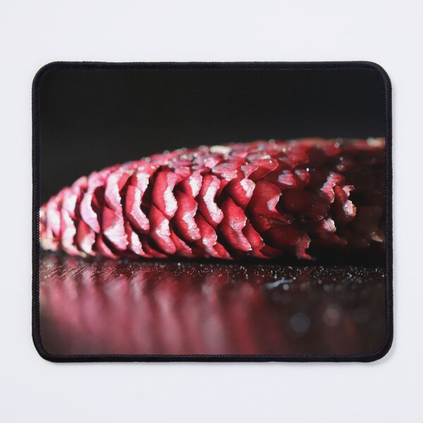 Item preview, Young Pine Cone designed and sold by cuprum.