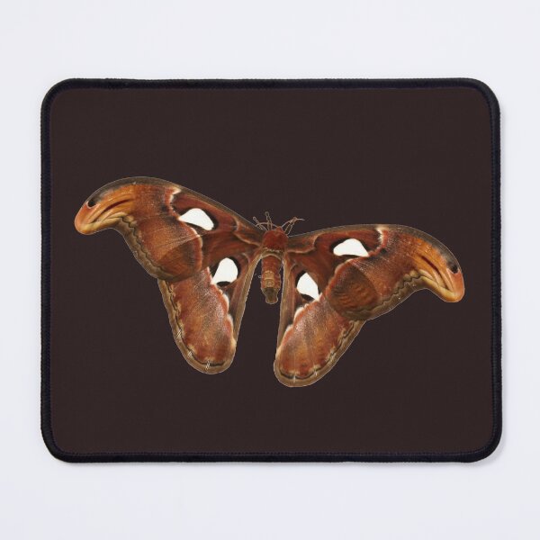 Item preview, Atlas Moth designed and sold by cuprum.
