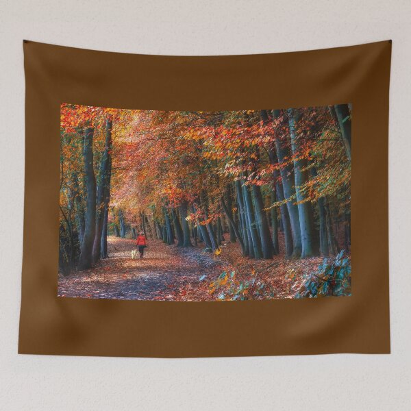 Item preview, Newmillerdam Autumn Woodland designed and sold by Alisonchambers2.