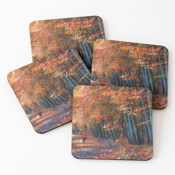 Item preview, Newmillerdam Autumn Woodland designed and sold by Alisonchambers2.