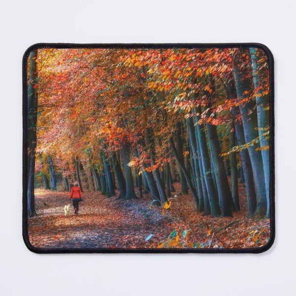 Item preview, Newmillerdam Autumn Woodland  designed and sold by Alisonchambers2.