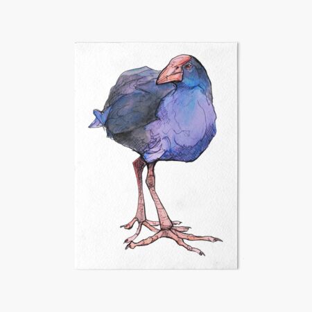 Native Bird - Pukeko Art Board Print