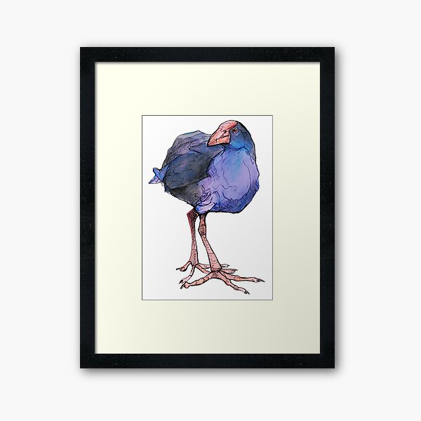 Native Bird - Pukeko Framed Art Print