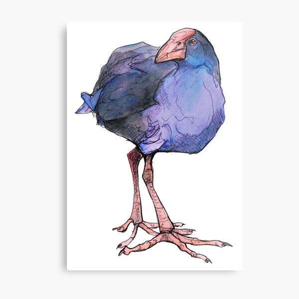 Native Bird - Pukeko Metal Print