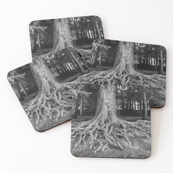 Item preview, Newmillerdam Tree Roots designed and sold by Alisonchambers2.
