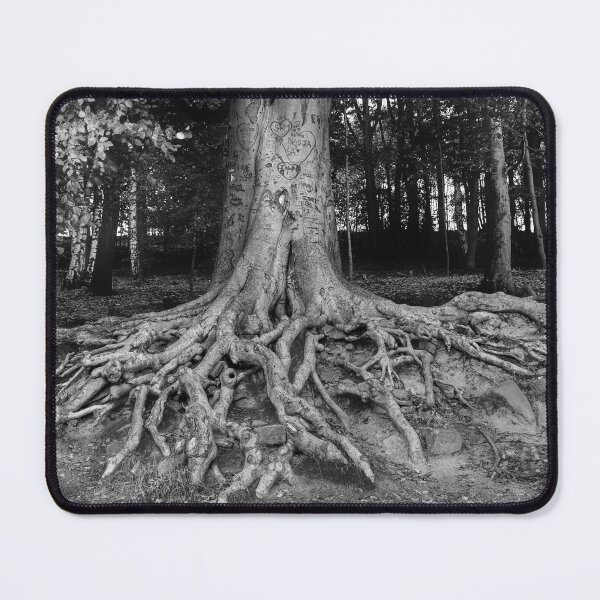 Item preview, Newmillerdam Tree Roots designed and sold by Alisonchambers2.