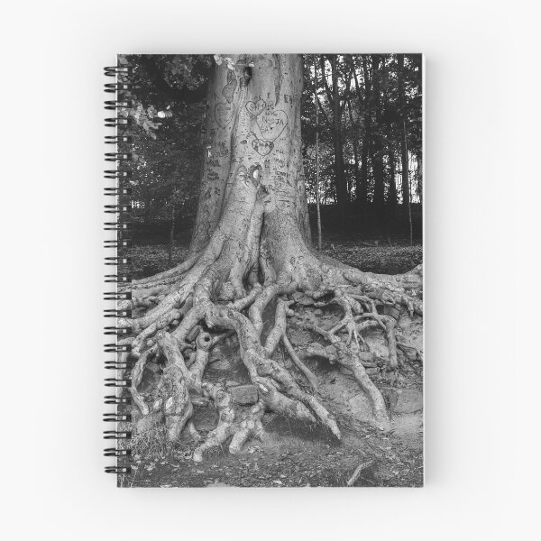 Item preview, Newmillerdam Tree Roots designed and sold by Alisonchambers2.