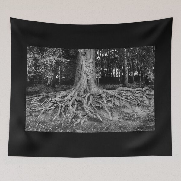 Item preview, Newmillerdam Tree Roots designed and sold by Alisonchambers2.