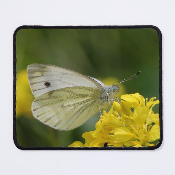 Item preview, Veined White on Brassica designed and sold by cuprum.