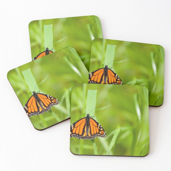 Item preview, Spread Your Wings designed and sold by CBoyle.