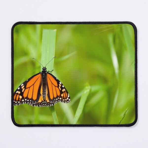 Item preview, Spread Your Wings designed and sold by CBoyle.