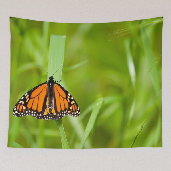 Item preview, Spread Your Wings designed and sold by CBoyle.