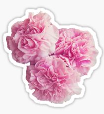 Floral Cluster Sticker