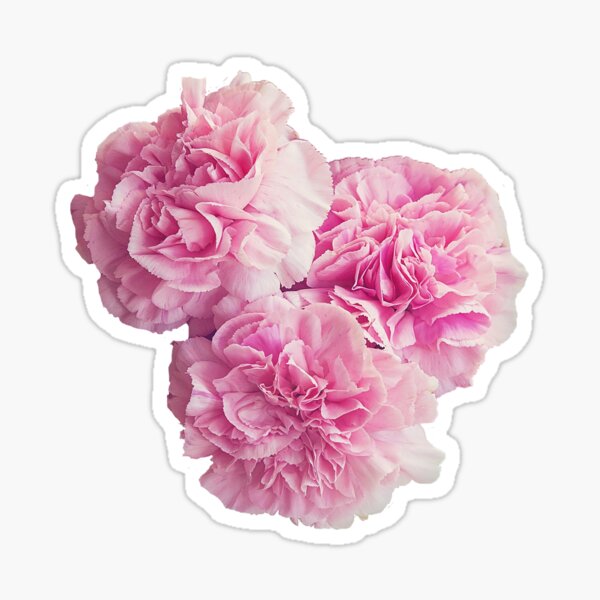 Floral Cluster Sticker