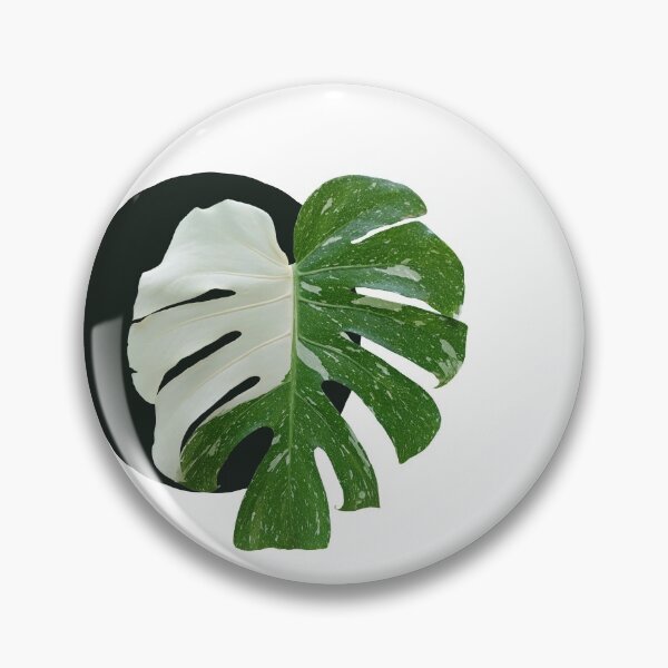 Artikelvorschau, Monstera vati entworfen und verkauft von jroliver.