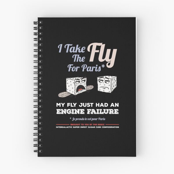 Item preview, I take the fly - Free French lesson designed and sold by Redinsart.