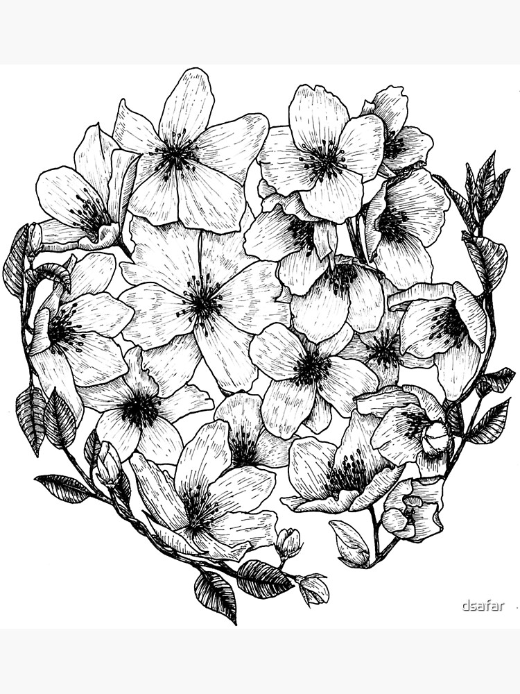 Hand Drawn Sketch of Jasmine Flower, Vectors | GraphicRiver