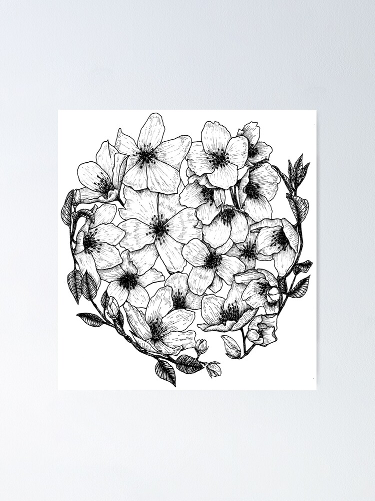 Jasmine Flowers On A White Background Hand Pencil Drawing Vintage Style  Design For Textiles And Fabrics Stock Illustration - Download Image Now -  iStock