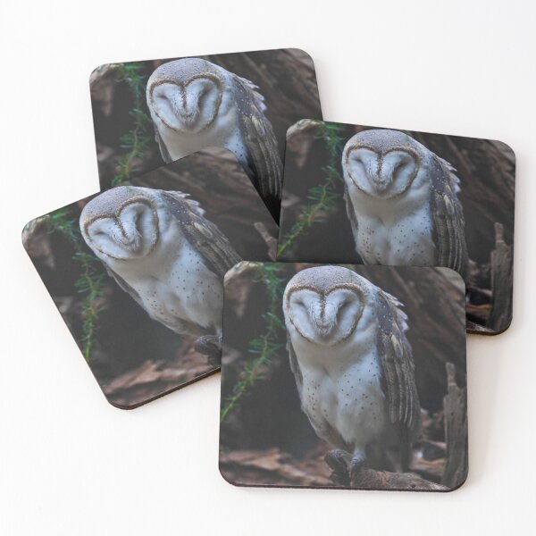 Item preview, Barn Owl designed and sold by Tom Newman.