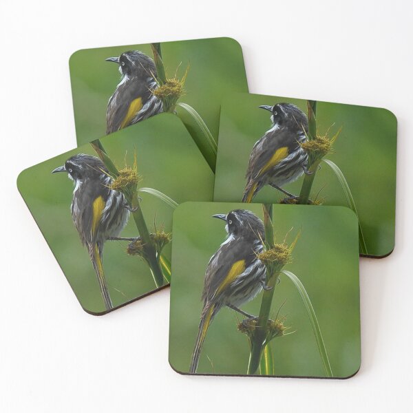 Item preview, New Holland Honey-Eater designed and sold by Tom Newman.