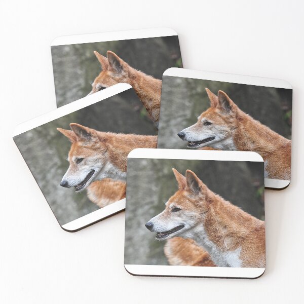 Item preview, Dingo designed and sold by Tom Newman.