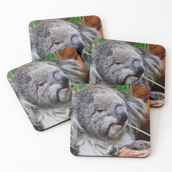 Item preview, Koala at Healesville designed and sold by Tom Newman.