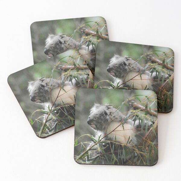 Item preview, Koala at Healesville 11 designed and sold by Tom Newman.