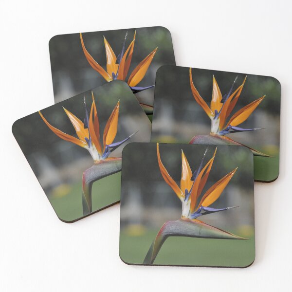 Item preview, Bird of Paradise Flower designed and sold by Tom Newman.