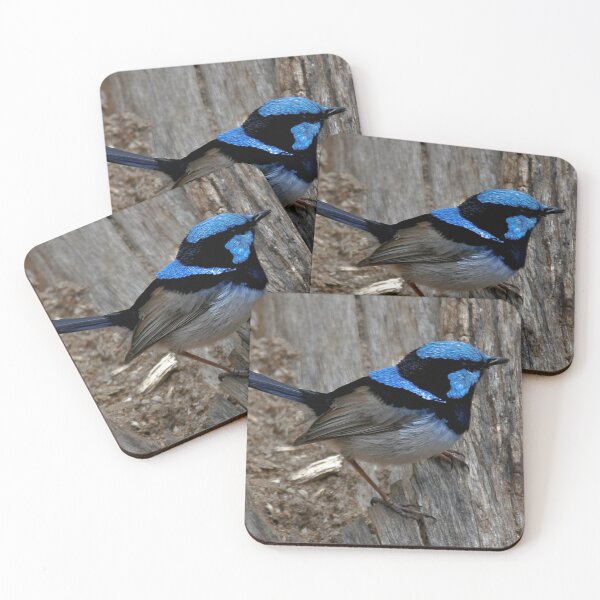 Item preview, Superb Fairywren II designed and sold by Tom Newman.