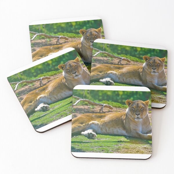 Item preview, Lioness designed and sold by Tom Newman.