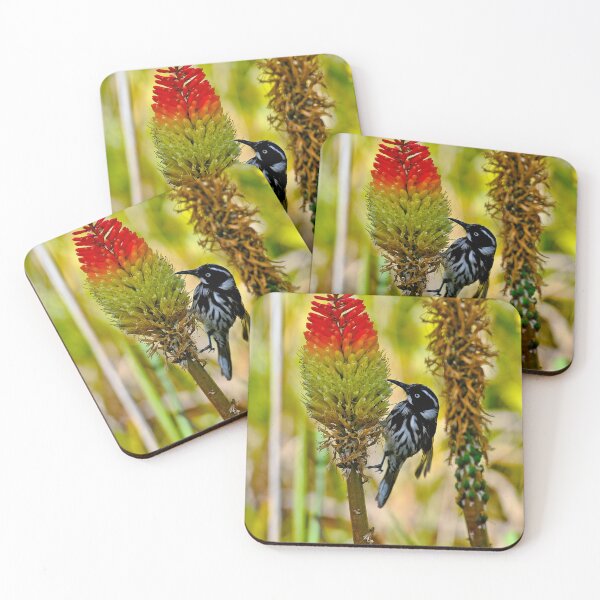 Item preview, New Holland Honeyeater-I designed and sold by Tom Newman.