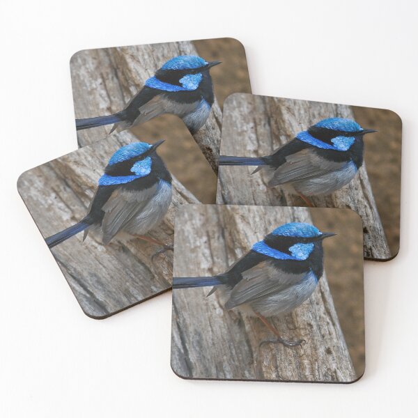Item preview, Superb Fairywren designed and sold by Tom Newman.