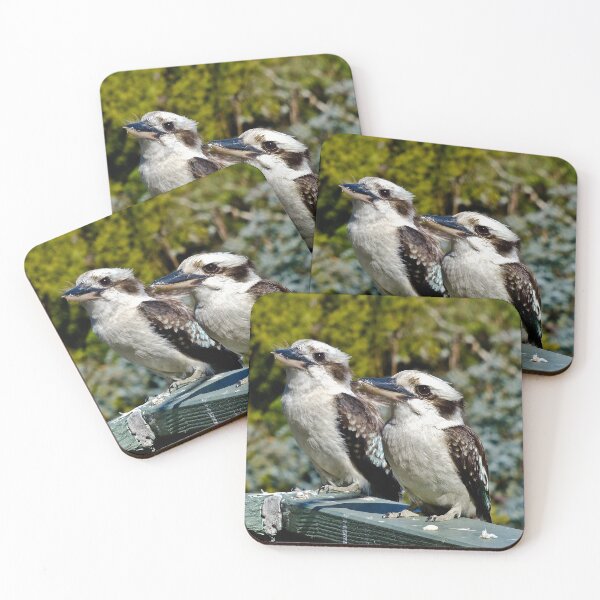 Item preview, Kookaburra Duo designed and sold by Tom Newman.
