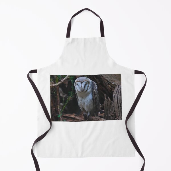 Item preview, Barn Owl designed and sold by Tom Newman.