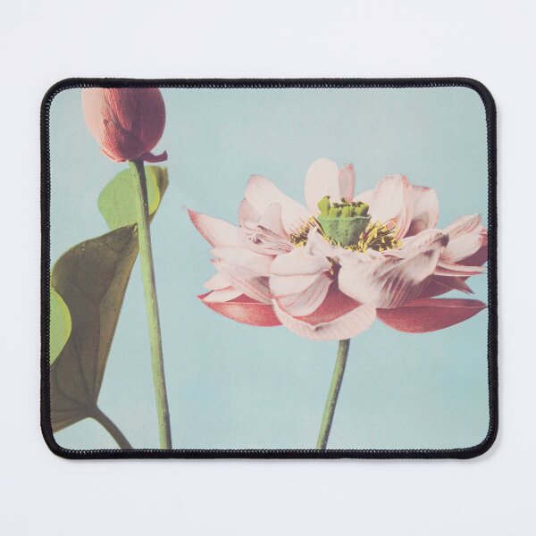 Item preview, Lotus Flowers (1887–1897) - Ogawa Kazumasa designed and sold by chamomile-cafe.