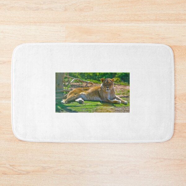 Item preview, Lioness at Werribee designed and sold by Tom Newman.