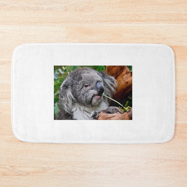 Item preview, Koala at Healesville designed and sold by Tom Newman.