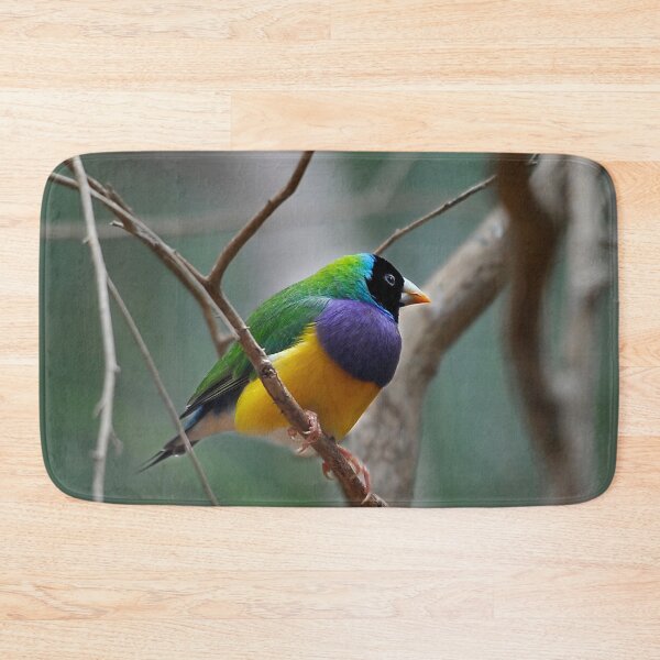 Item preview, Gouldian Finch designed and sold by Tom Newman.