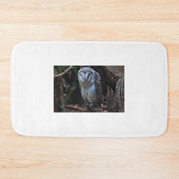 Item preview, Barn Owl designed and sold by Tom Newman.