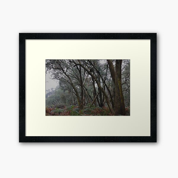Item preview, Greens Bush #22 designed and sold by athexphoto.
