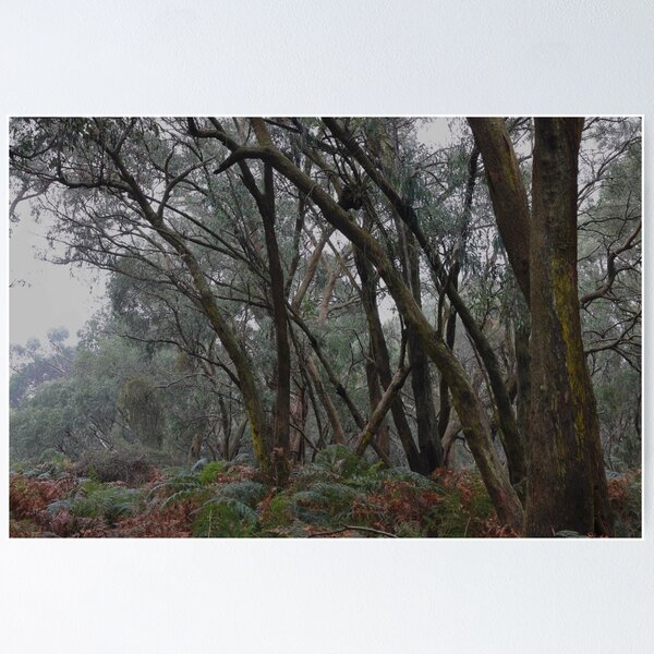 Item preview, Greens Bush #22 designed and sold by athexphoto.