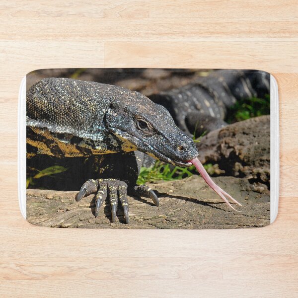 Item preview, Lace Monitor designed and sold by Tom Newman.