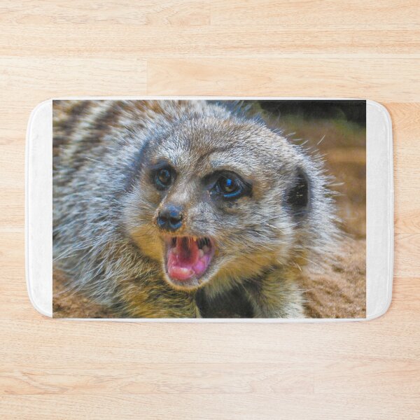Item preview, Meerkat designed and sold by Tom Newman.