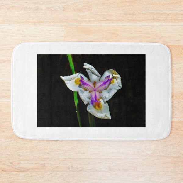 Item preview, Iris designed and sold by Tom Newman.