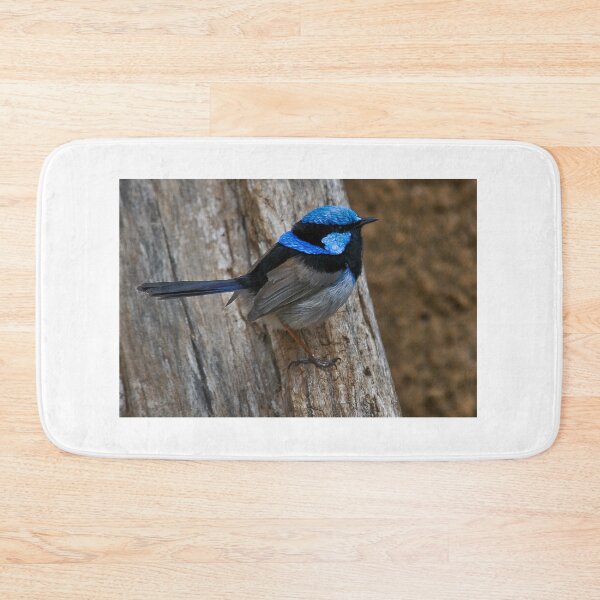 Item preview, Superb Fairywren designed and sold by Tom Newman.