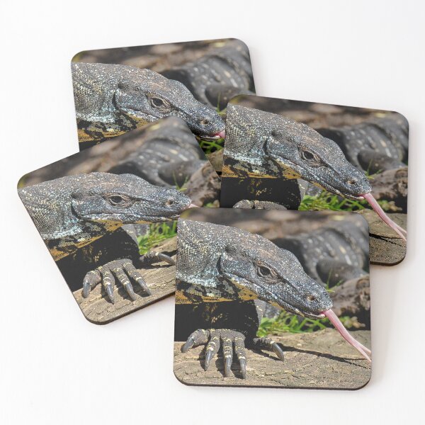 Item preview, Lace Monitor designed and sold by Tom Newman.