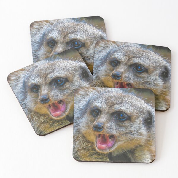 Item preview, Meerkat designed and sold by Tom Newman.