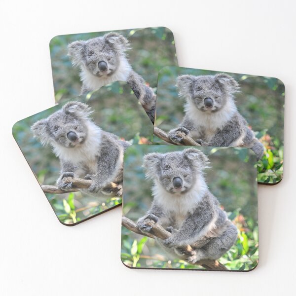 Item preview, Koala at Healesville designed and sold by Tom Newman.