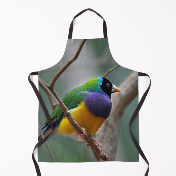 Item preview, Gouldian Finch designed and sold by Tom Newman.