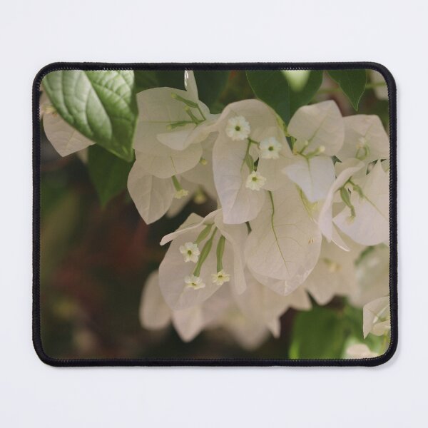 Item preview, White Bougainvillea designed and sold by cuprum.